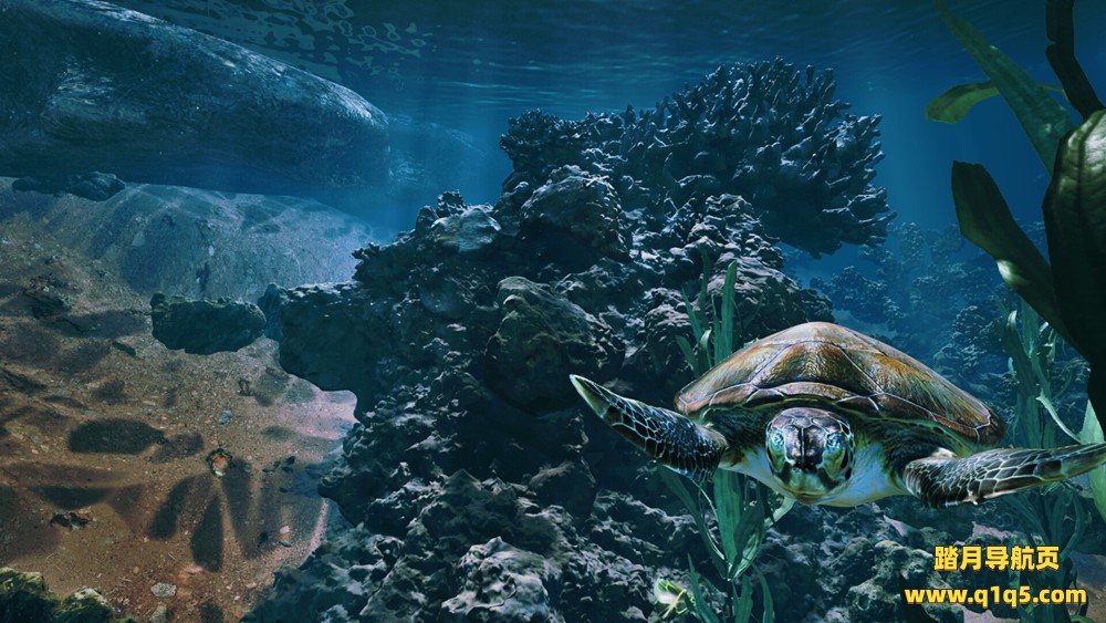 海洋明珠 (Pearl of the Desert)