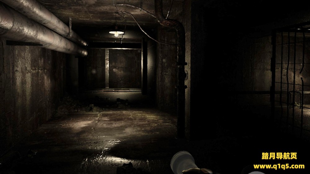 人工心肺 (Heart-Lung Machine)