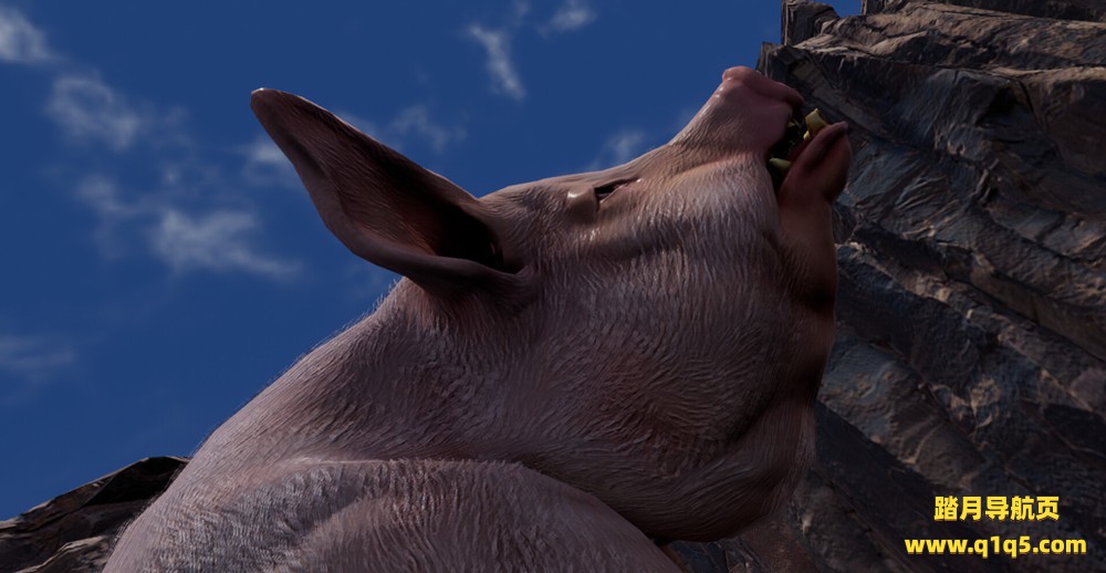 大猪猪（Big Pig）