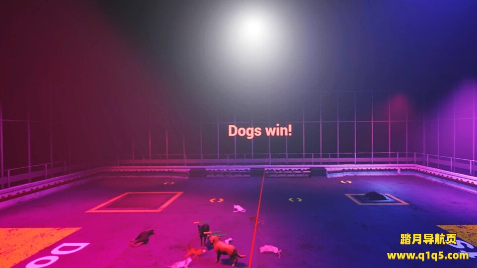 爪子冲突：猫狗对决 (Claw Clash- Cat vs Dog Betting）