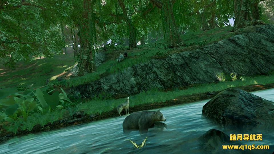 昆虫模拟飞行 (Insect Flight Simulator VR）