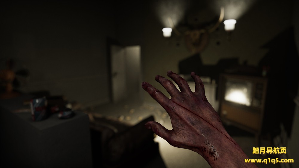 麦迪森VR(MADiSON VR)