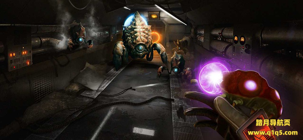 基因（Genotype）