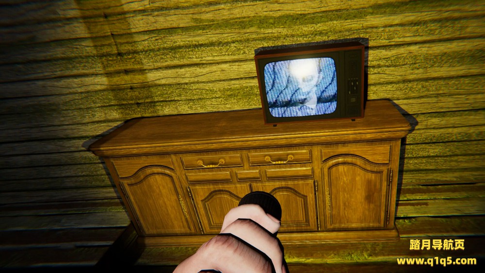 血统深处 VR（The Inner Descent VR）