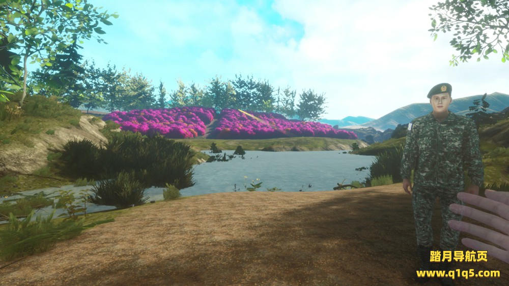 非军事区（DMZ）