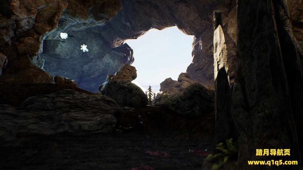 从阴影中崛起(Arise from Shadows)