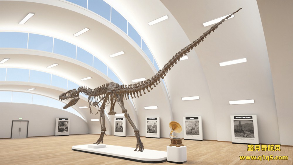 立体博物馆 VR（Stereograph Museum VR）