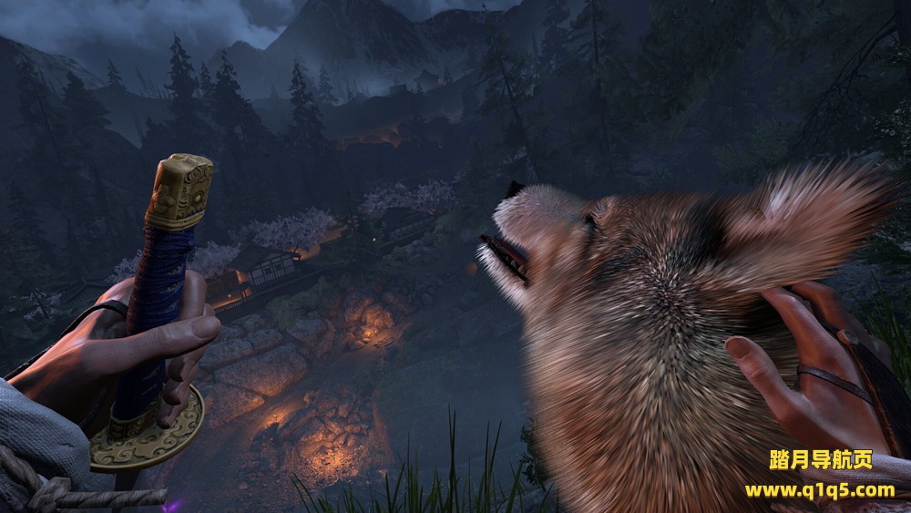 岚：罪恶之城 (Arashi- Castles of Sin – Final Cut)