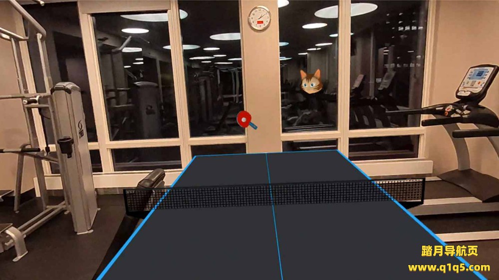 真实乒乓球（Eleven- Table Tennis VR）