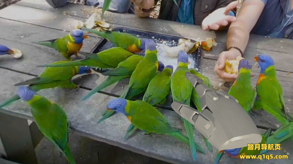 视觉 VR 视频播放器（Touchly Volumetric VR Video Player）