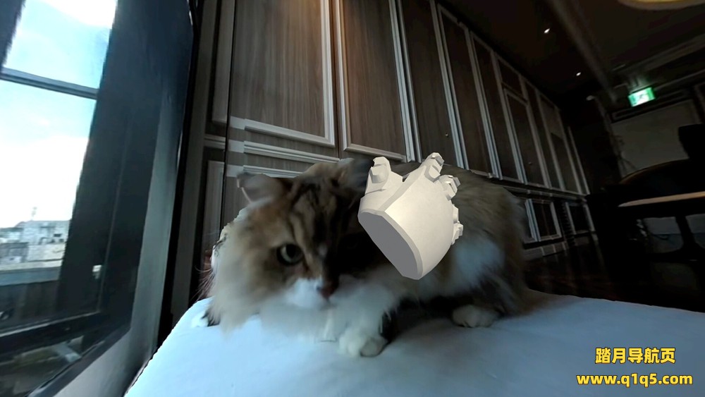 视觉 VR 视频播放器（Touchly Volumetric VR Video Player）