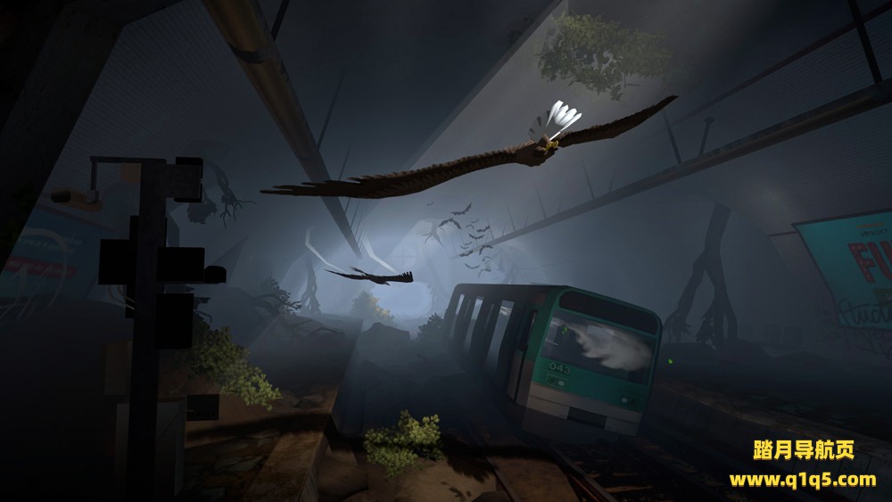 飞鹰（Eagle Flight）