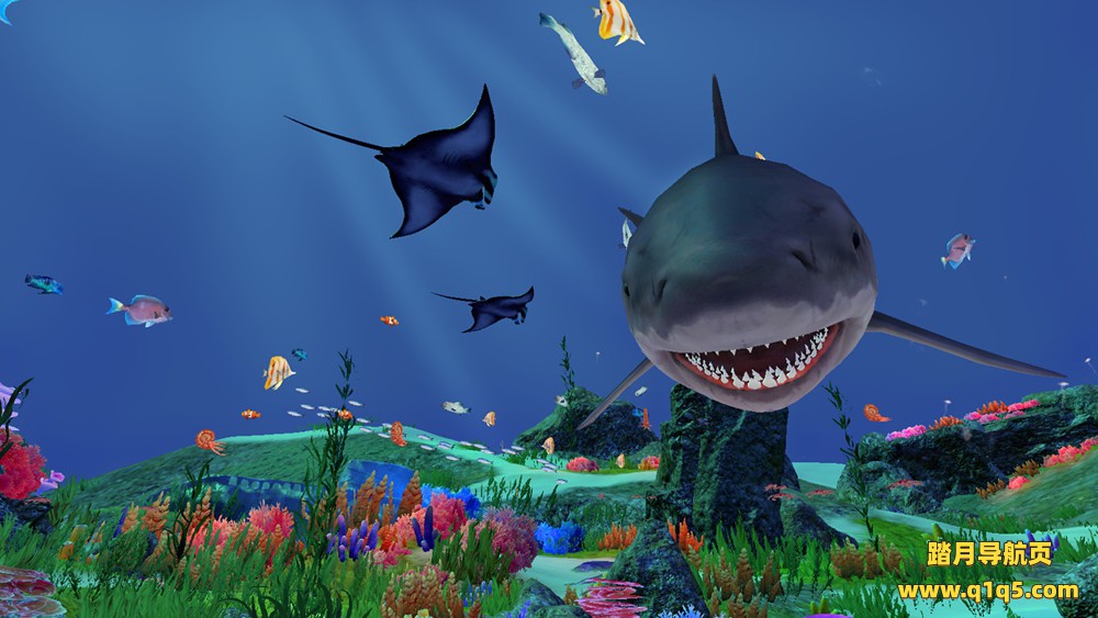 捕鱼达人（Fancy Fishing VR）