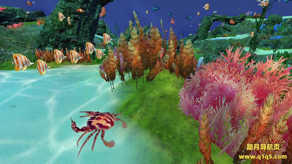 捕鱼达人（Fancy Fishing VR）