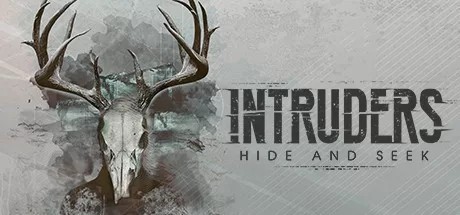 入侵者：捉迷藏（Intruders- Hide and Seek）