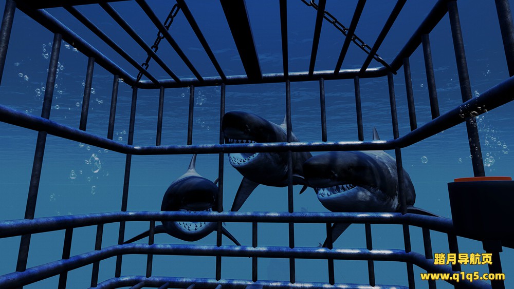 虚拟假期（Virtual Vacations）