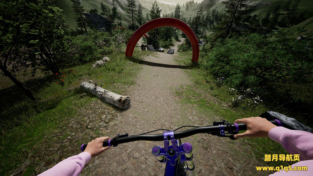 下坡路自行车VR（DownhillVR）