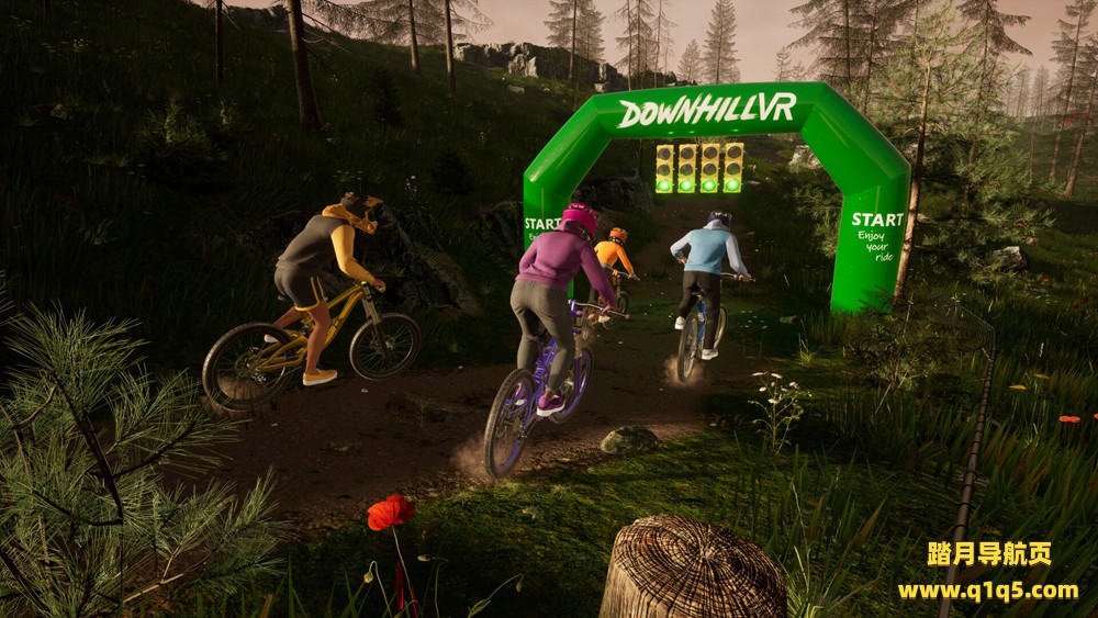 下坡路自行车VR（DownhillVR）