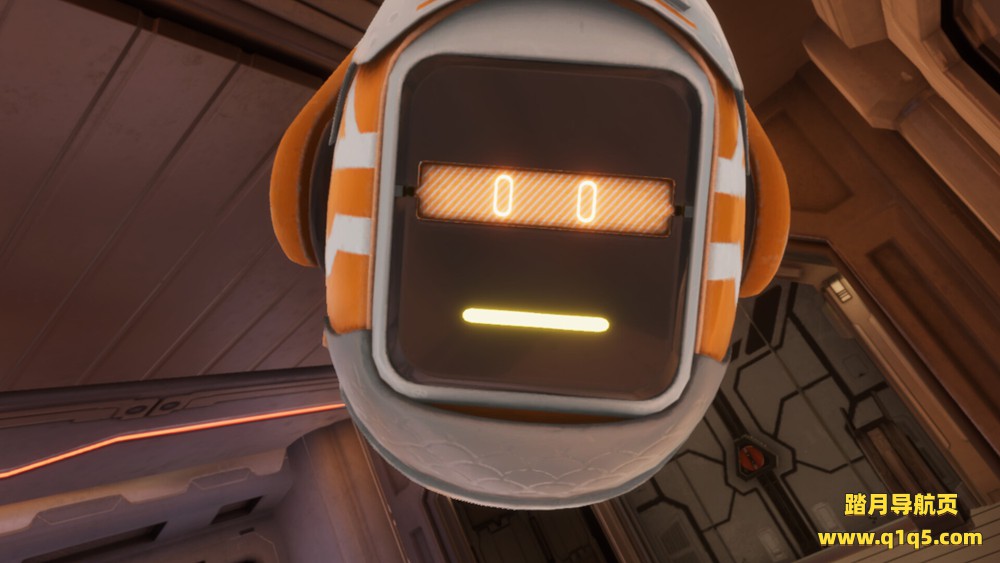 恒星回声（Stellar Echoes）