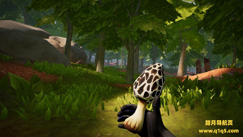 农场家园 (Morels- Homestead)