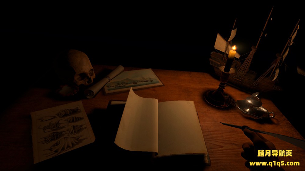 来自珊瑚海彼岸的回忆（Memories From Beyond a Coral Sea）