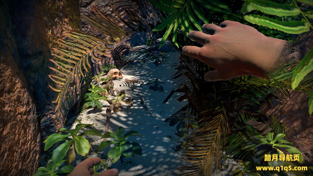 来自珊瑚海彼岸的回忆（Memories From Beyond a Coral Sea）