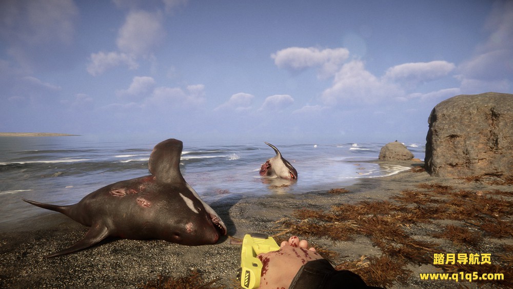 森林之子 (Sons Of The Forest)