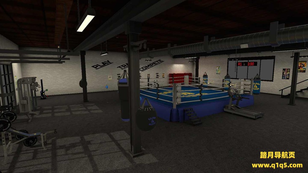 金手套拳击（Golden Gloves VR）