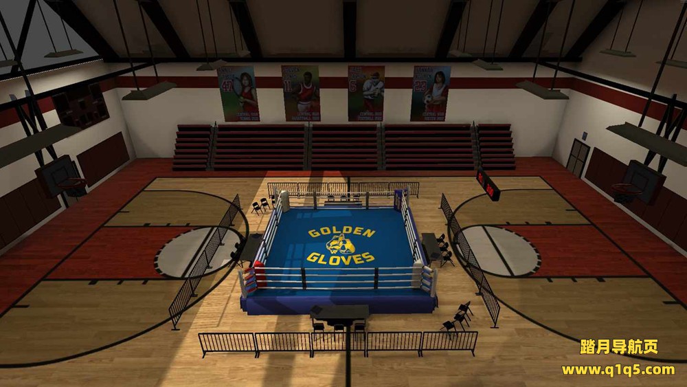 金手套拳击（Golden Gloves VR）