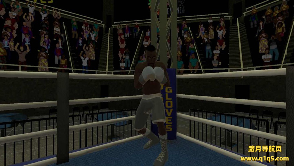 金手套拳击（Golden Gloves VR）