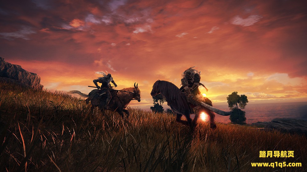 艾尔登法环-官方中文 VR（Elden Ring VR）