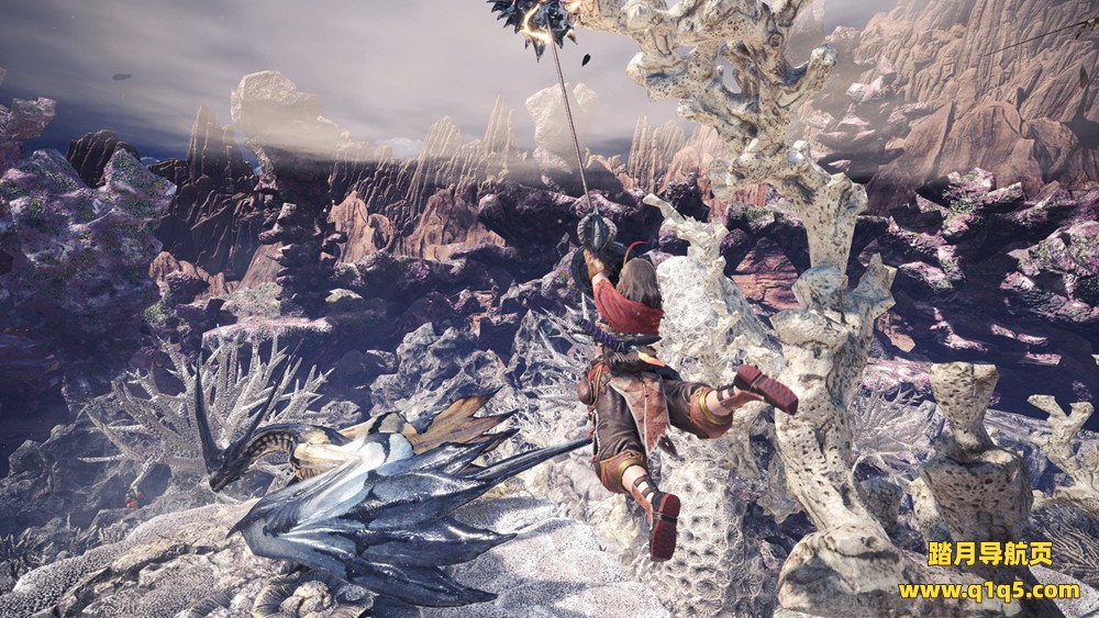 怪物猎人-崛起 (MONSTER HUNTER RISE)