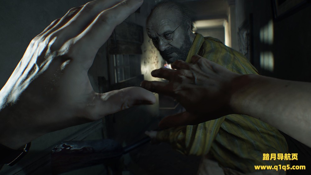 生化危机7 VR (Resident Evil 7 Biohazard VR)