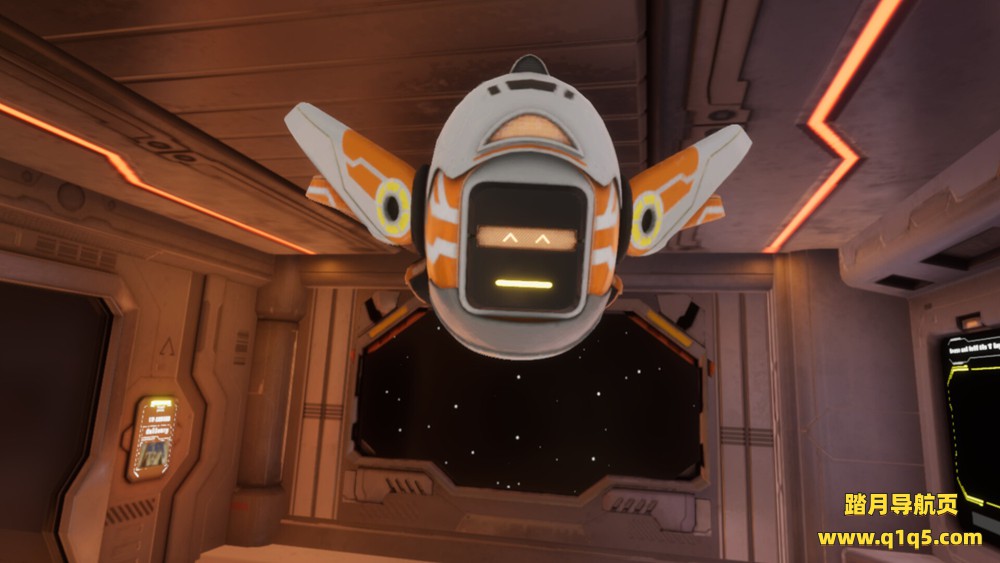 恒星回声（Stellar Echoes）