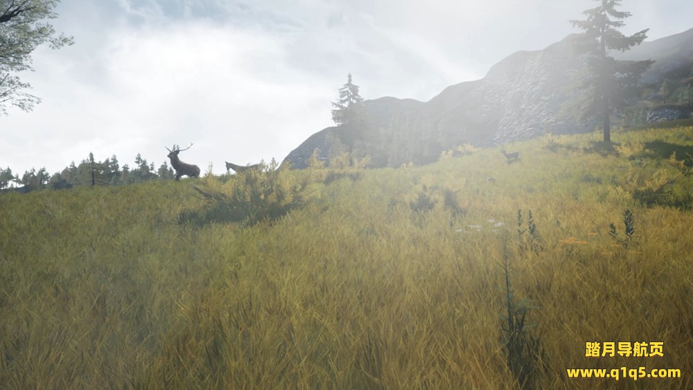 龙山VR（DragonHill VR）