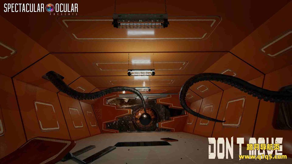 不要动（DONT MOVE）