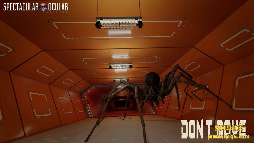 不要动（DONT MOVE）