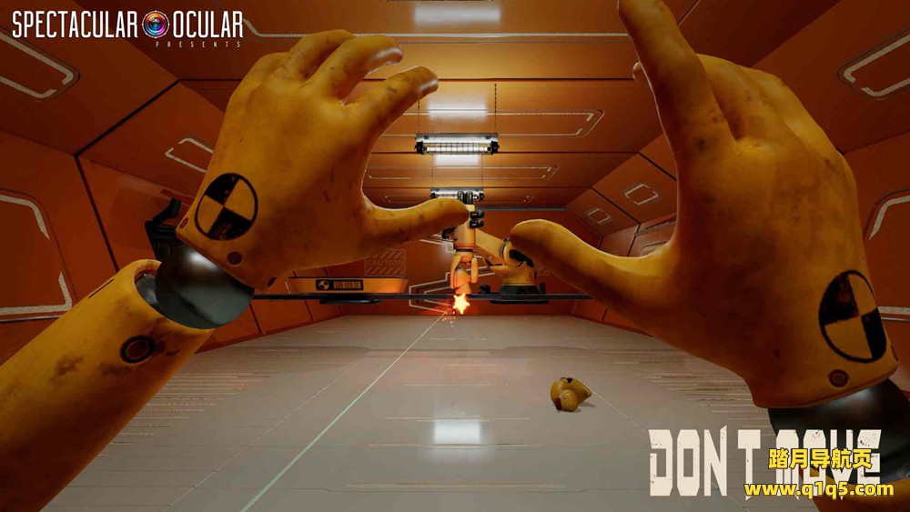 不要动（DONT MOVE）