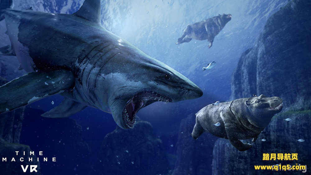 时光机VR（Time Machine VR）
