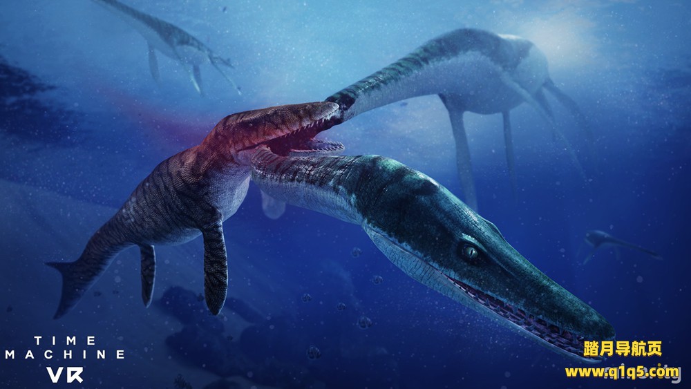 时光机VR（Time Machine VR）