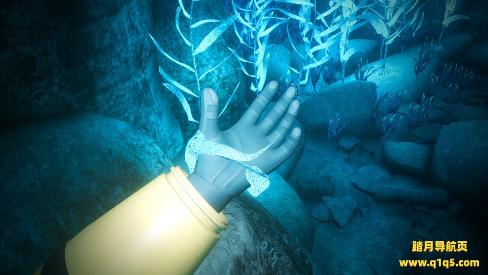 蓝色深渊（Biolum）