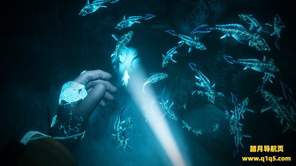 蓝色深渊（Biolum）