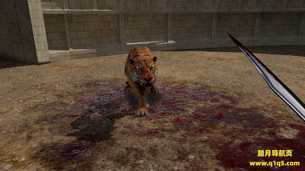 古罗马竞技场 (Gladius - Gladiator VR Sword fighting)