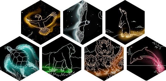 隐藏的形状 – VR（Hidden Shapes Animals – VR）