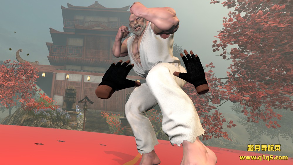 VR 不朽之战（VR Immortal Fight）