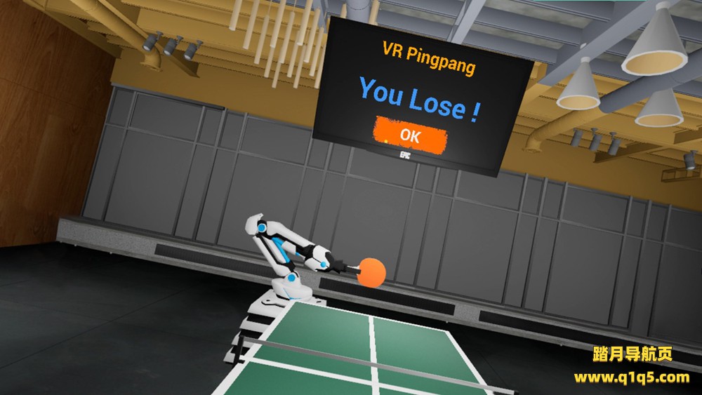 乒乓宝贝VR (VR PingPong Sweetie)