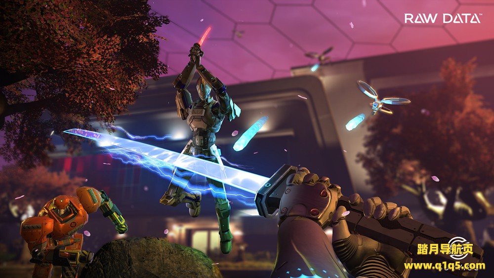 原始数据（Raw Data）