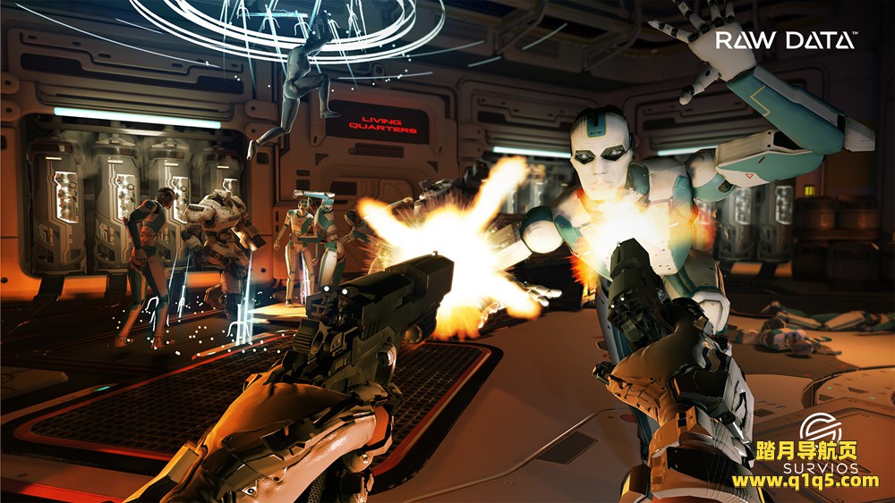 原始数据（Raw Data）