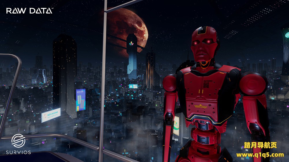 原始数据（Raw Data）