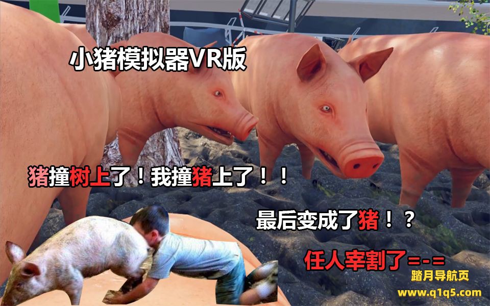 小猪模拟器（pig simulator VR）